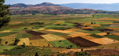 1. TARIM VE İNSAN FOTOĞRAF YARIŞMASI - Mesut SARAÇ