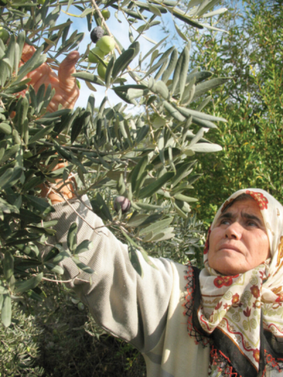 1. TARIM VE İNSAN FOTOĞRAF YARIŞMASI - Meral MARADAŞ