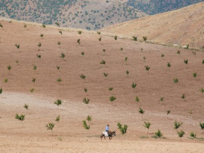 1. TARIM VE İNSAN FOTOĞRAF YARIŞMASI - Nisanur ÖZDEN