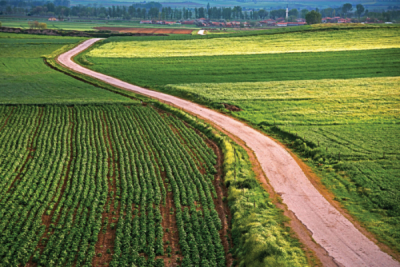 1. TARIM VE İNSAN FOTOĞRAF YARIŞMASI - Selin SANCAK