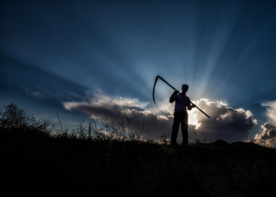 1. TARIM VE İNSAN FOTOĞRAF YARIŞMASI - Gülten Akıncı ENGİN