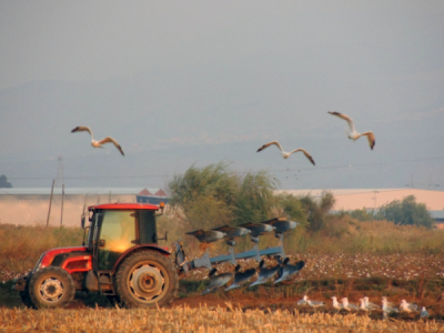 1. TARIM VE İNSAN FOTOĞRAF YARIŞMASI - Hüseyin UYSAL
