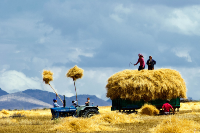 1. TARIM VE İNSAN FOTOĞRAF YARIŞMASI - A. Adnan KALKAN