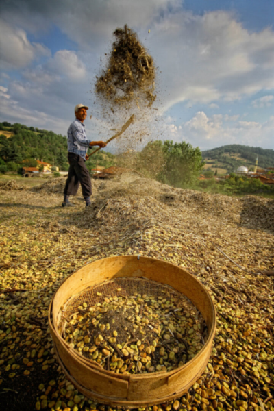 1. TARIM VE İNSAN FOTOĞRAF YARIŞMASI - Ömer İNCE