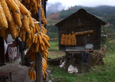 1. TARIM VE İNSAN FOTOĞRAF YARIŞMASI - Ferhat ÇAĞLAR