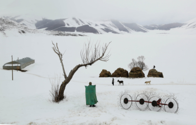10. TARIM VE İNSAN FOTOĞRAF YARIŞMASI - Musa TALAŞLI