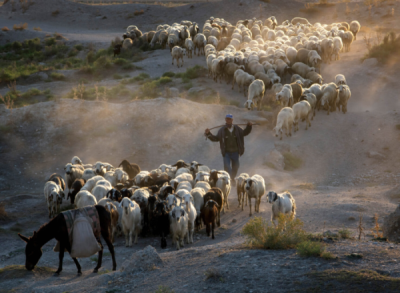 10. TARIM VE İNSAN FOTOĞRAF YARIŞMASI - Emir BAĞCI
