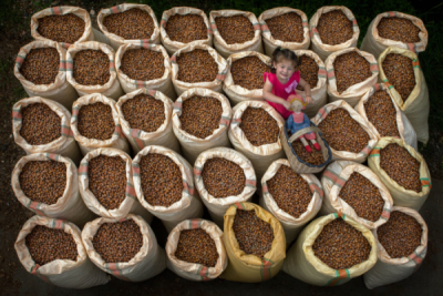 10. TARIM VE İNSAN FOTOĞRAF YARIŞMASI - Caner BAŞER