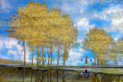 10. TARIM VE İNSAN FOTOĞRAF YARIŞMASI - Elif ÇAKICI