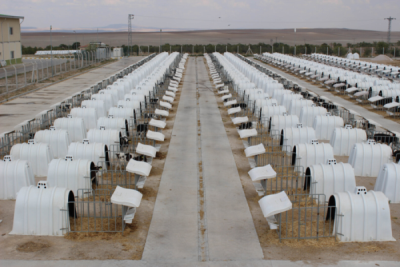 10. TARIM VE İNSAN FOTOĞRAF YARIŞMASI - Cumhur DENİZ