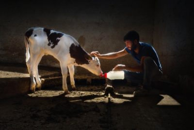 10. TARIM VE İNSAN FOTOĞRAF YARIŞMASI - F. Dilek UYAR