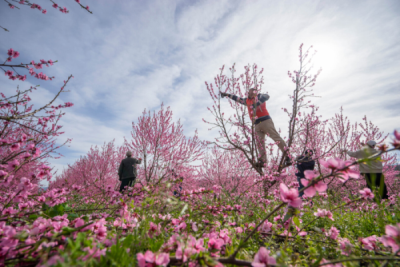 10. TARIM VE İNSAN FOTOĞRAF YARIŞMASI - Fatih BAYÇORA