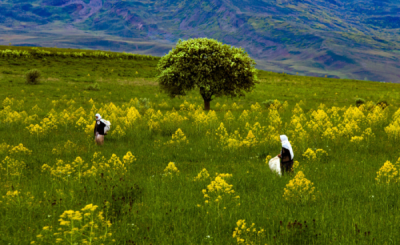 10. TARIM VE İNSAN FOTOĞRAF YARIŞMASI - Gülseren SARIGÜL