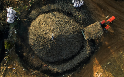 10. TARIM VE İNSAN FOTOĞRAF YARIŞMASI - Hakan GÜMÜŞ