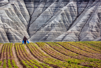 10. TARIM VE İNSAN FOTOĞRAF YARIŞMASI - Hasan ZER