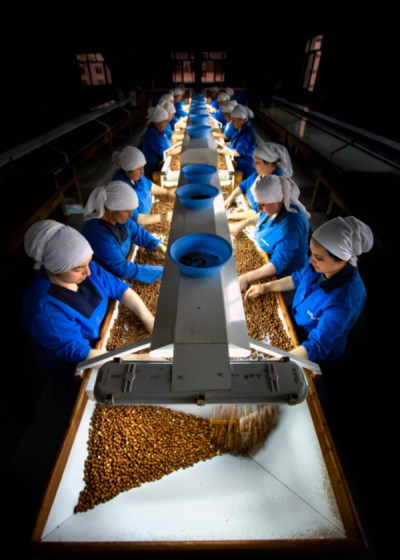 10. TARIM VE İNSAN FOTOĞRAF YARIŞMASI - İbrahim AYSÜNDÜ