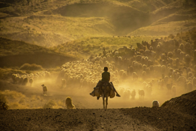 10. TARIM VE İNSAN FOTOĞRAF YARIŞMASI - Lokman DEMİR 