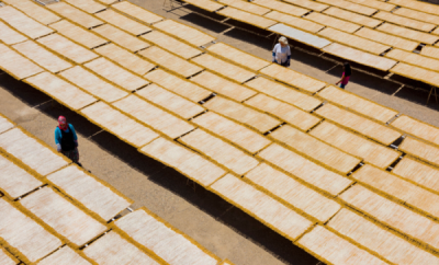 10. TARIM VE İNSAN FOTOĞRAF YARIŞMASI - Mehmet ASLAN