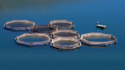 10. TARIM VE İNSAN FOTOĞRAF YARIŞMASI - Mehmet TOKATLI