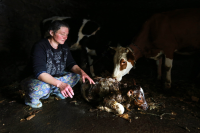 10. TARIM VE İNSAN FOTOĞRAF YARIŞMASI - Meral YEŞİLÇİÇEK