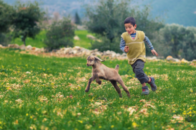 10. TARIM VE İNSAN FOTOĞRAF YARIŞMASI - Meriç AKTAR