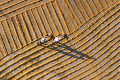 10. TARIM VE İNSAN FOTOĞRAF YARIŞMASI - Özkan OLCAY