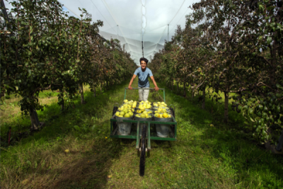 10. TARIM VE İNSAN FOTOĞRAF YARIŞMASI - Salih KUŞ