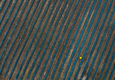 10. TARIM VE İNSAN FOTOĞRAF YARIŞMASI - Serdal DENİZ