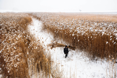 10. TARIM VE İNSAN FOTOĞRAF YARIŞMASI - Serkan DALDAL