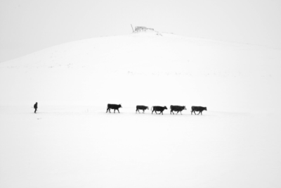 10. TARIM VE İNSAN FOTOĞRAF YARIŞMASI - Ufuk SEFEROĞLU