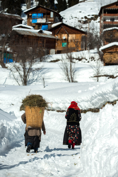 10. TARIM VE İNSAN FOTOĞRAF YARIŞMASI - Ufuk SEFEROĞLU