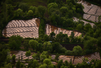 10. TARIM VE İNSAN FOTOĞRAF YARIŞMASI - Veysel ERBİN