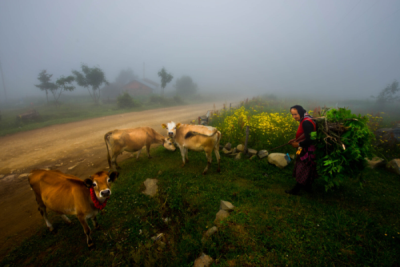 10. TARIM VE İNSAN FOTOĞRAF YARIŞMASI - Ali Fatih AKÇAY