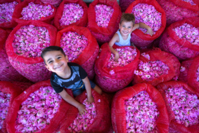 10. TARIM VE İNSAN FOTOĞRAF YARIŞMASI - Aygül ÖZTÜRK