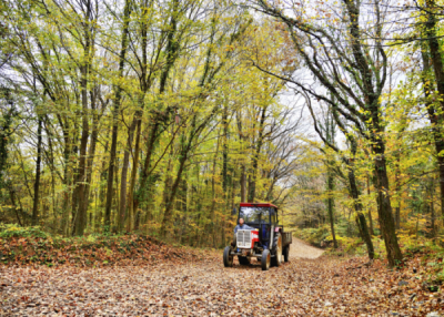 10. TARIM VE İNSAN FOTOĞRAF YARIŞMASI - Bekir YEŞİLTAŞ