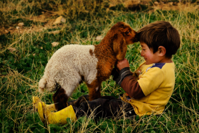 10. TARIM VE İNSAN FOTOĞRAF YARIŞMASI - Burhan TOY