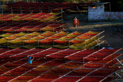 10. TARIM VE İNSAN FOTOĞRAF YARIŞMASI - Caner BAŞER
