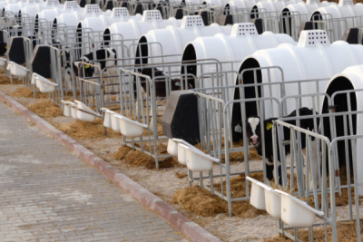 10. TARIM VE İNSAN FOTOĞRAF YARIŞMASI - Celal GEZİCİ