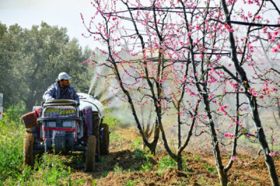 11. TARIM VE İNSAN FOTOĞRAF YARIŞMASI - Mehmet YILMAZ