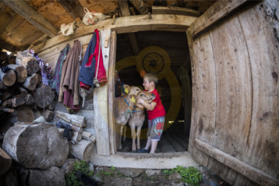 11. TARIM VE İNSAN FOTOĞRAF YARIŞMASI - Muhammet CEYLAN