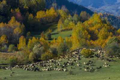 11. TARIM VE İNSAN FOTOĞRAF YARIŞMASI - Tarkın TAŞKIRAN