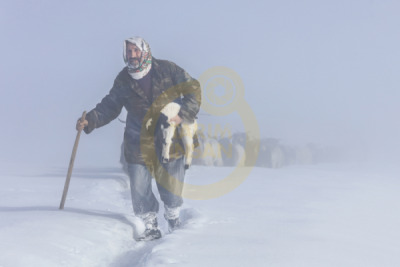 11. TARIM VE İNSAN FOTOĞRAF YARIŞMASI - Ali İhsan ÖZTUR
