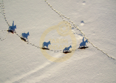 11. TARIM VE İNSAN FOTOĞRAF YARIŞMASI - Yahya ZENGİN