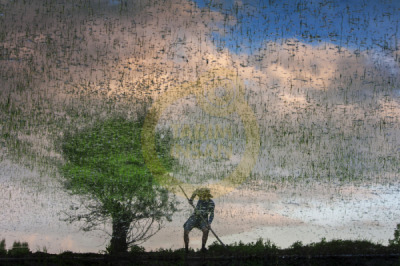 11. TARIM VE İNSAN FOTOĞRAF YARIŞMASI - Ali ACAR