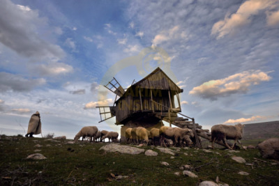 11. TARIM VE İNSAN FOTOĞRAF YARIŞMASI - Arif Bayram TÜRKER