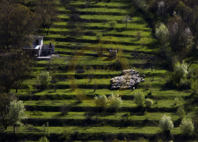 11. TARIM VE İNSAN FOTOĞRAF YARIŞMASI - Mehmet TOKATLI