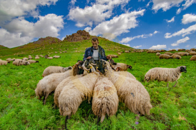 11. TARIM VE İNSAN FOTOĞRAF YARIŞMASI - Murat CACİM