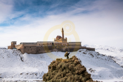 11. TARIM VE İNSAN FOTOĞRAF YARIŞMASI - Murat DOĞAN