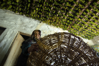 11. TARIM VE İNSAN FOTOĞRAF YARIŞMASI - Ömerül Faruk KİPRİK