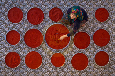 11. TARIM VE İNSAN FOTOĞRAF YARIŞMASI - Osman MAAŞOĞLU